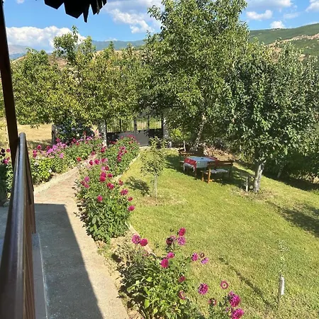 Mountain In Zall Dardhe *