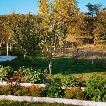 Casa vacanze Mountain In Zall Dardhe Peshkopi