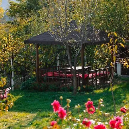 Mountain In Zall Dardhe