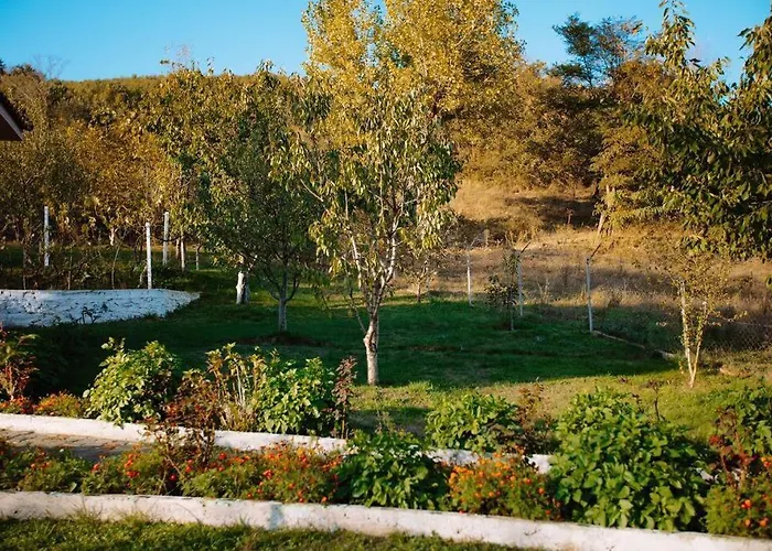 Vakantiehuis Mountain In Zall Dardhe Peshkopi